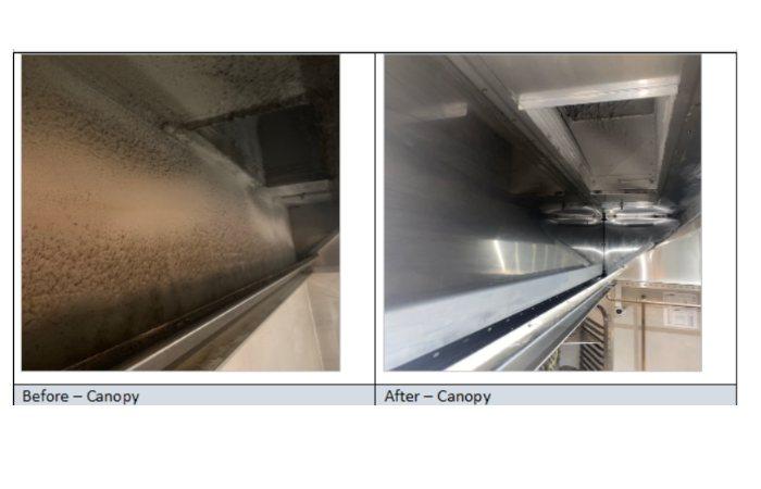 Canopy Cleaning